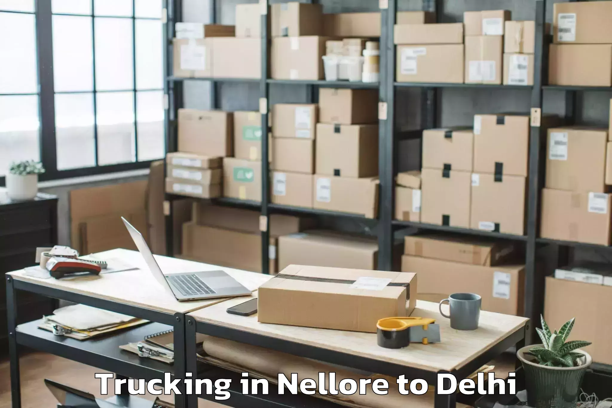 Expert Nellore to Delhi Technological University Trucking